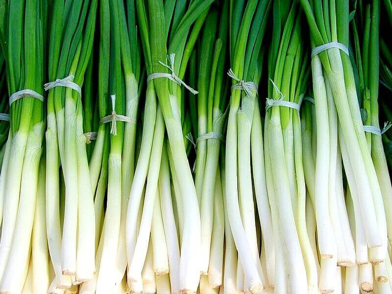 Green Onion Key Features